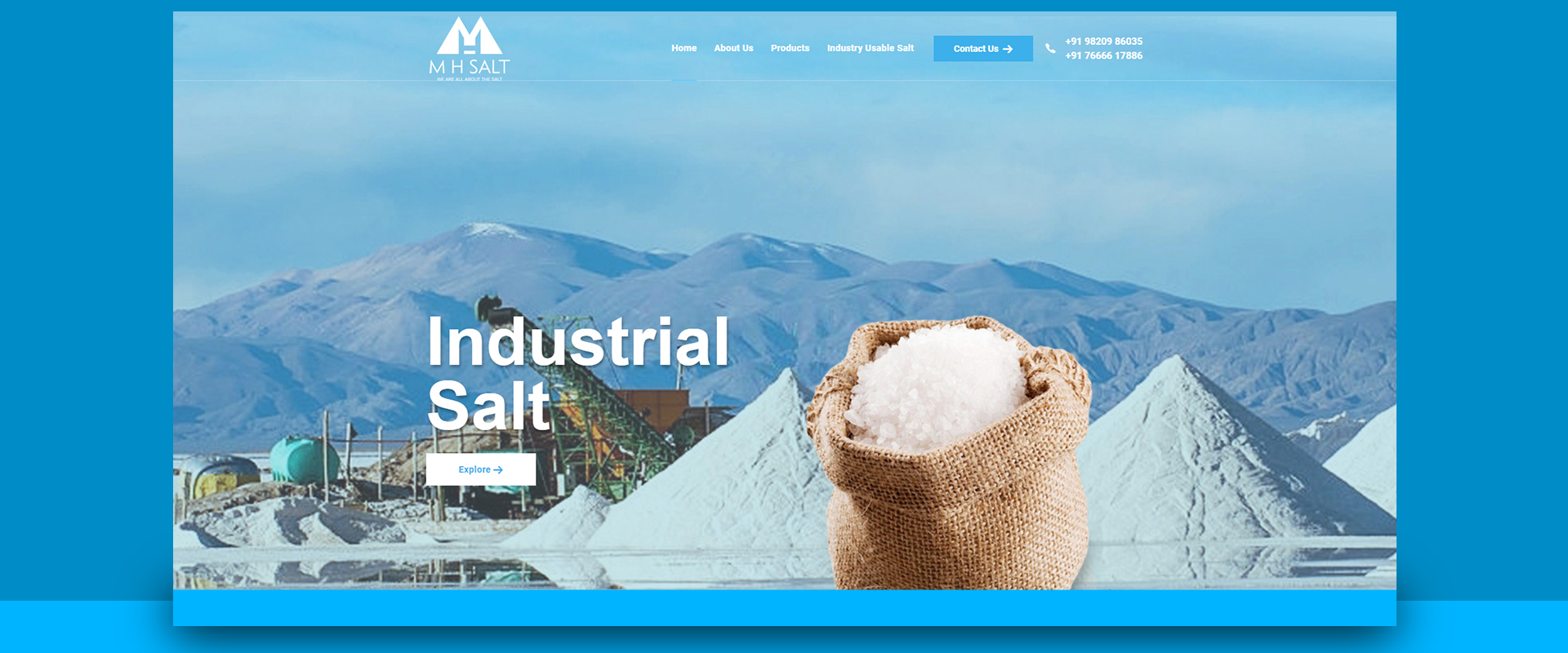 M.H.SALT website